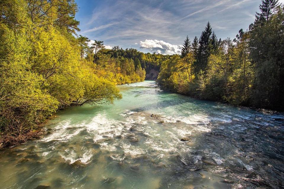 Sava River House - Apartments Bled Luaran gambar